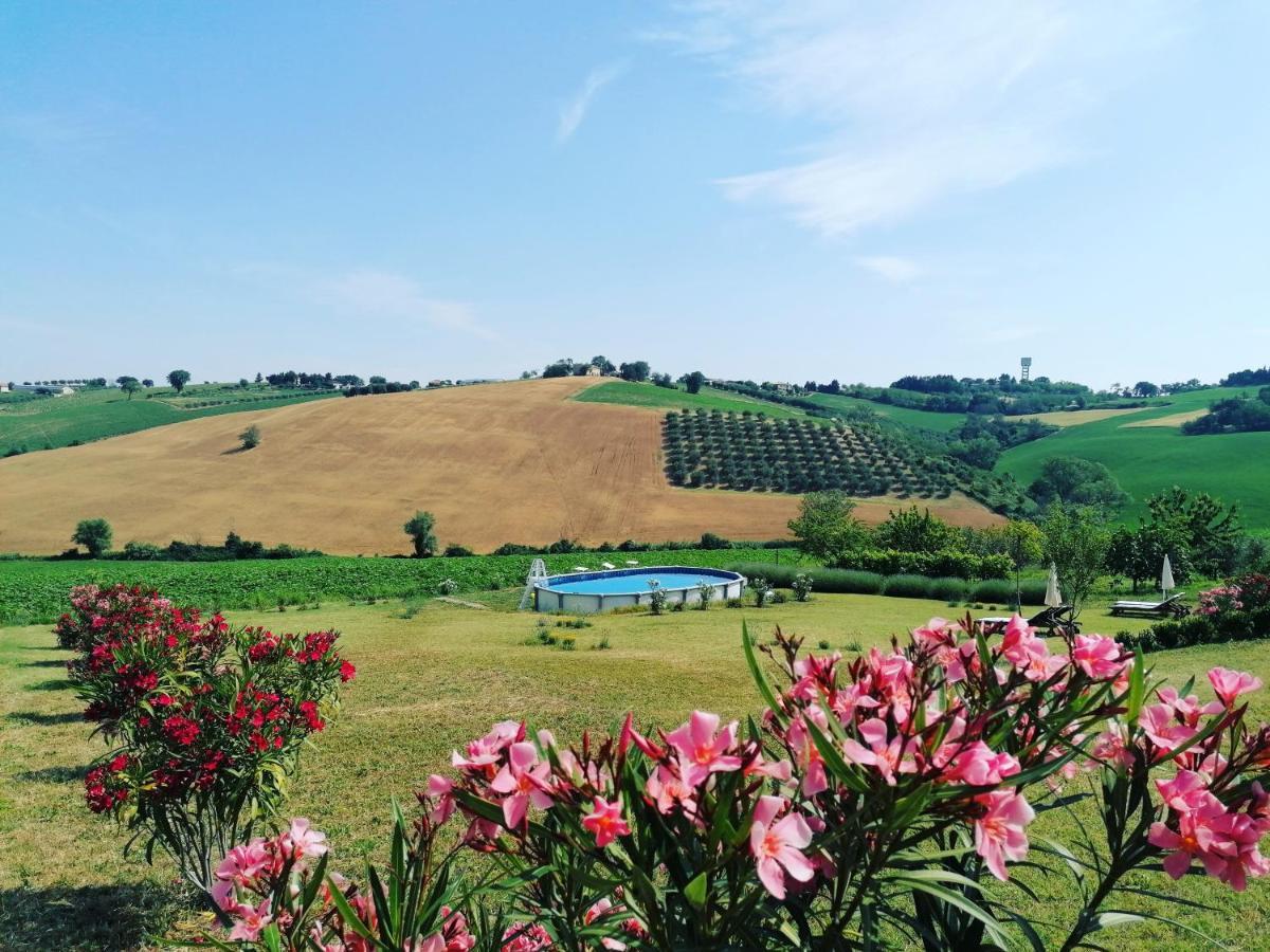Il Giardino Nella Valle Belvedere Ostrense Exterior photo